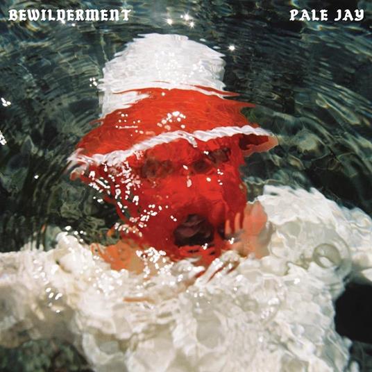 Bewilderment - CD Audio di Pale Jay