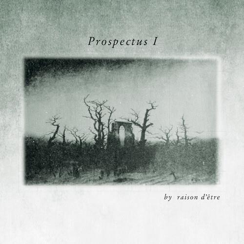 Prospectus I (Sublime Edition) - CD Audio di Raison d'Etre