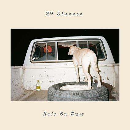 Rain on Dust - CD Audio di RF Shannon