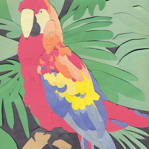 Parrot Flies - CD Audio di Algernon Cadwallader