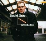 White Ladder