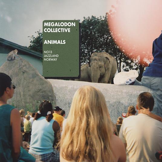 Animals - CD Audio di Megalodon Collective