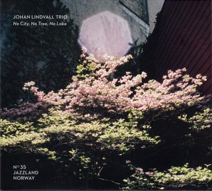 No City, No Tree, No Lake - CD Audio di Johan Lindvall