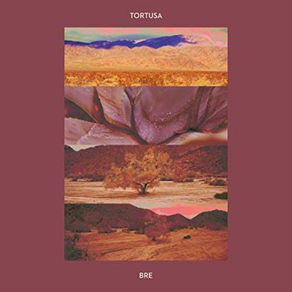 Bre - CD Audio di Tortusa