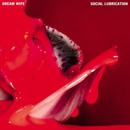 Social Lubrication - CD Audio di Dream Wife