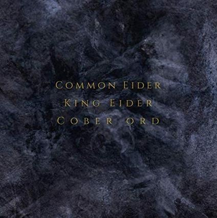 Palimpseste - CD Audio di Common Eider King Eider
