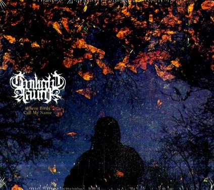 Where Birds Call My Name - CD Audio di Twilight Fauna