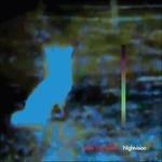 Nightvision - Vinile LP di Mark Van Hoen