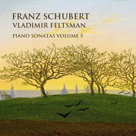 Sonate complete per pianoforte vol.5 - CD Audio di Franz Schubert,Vladimir Feltsman