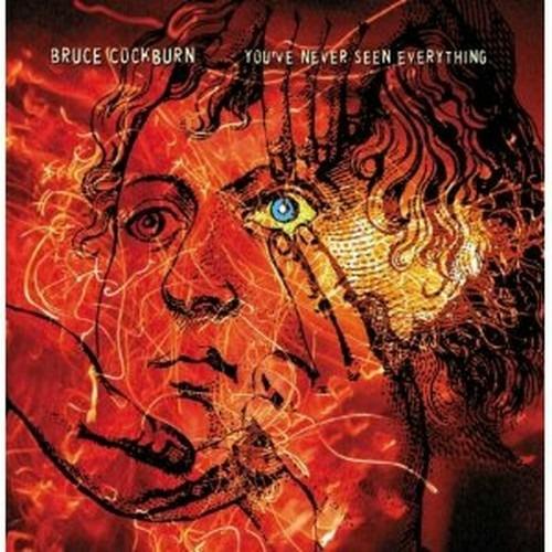 You Have Never Seen Everything - CD Audio di Bruce Cockburn