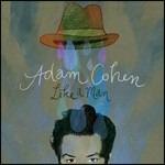 Like a Man - CD Audio di Adam Cohen