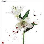 Hidden City - Vinile LP di The Cult