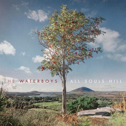 All Souls Hill - Vinile LP di Waterboys