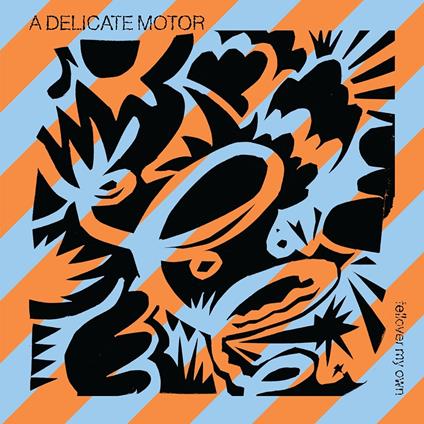 Fellover My Own - CD Audio di A Delicate Motor