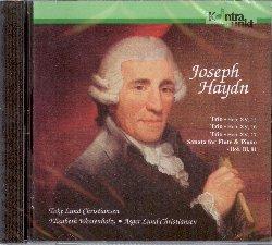 Trii con flauto, violoncello e pianoforte - CD Audio di Franz Joseph Haydn,Toke Lund Christiansen
