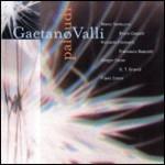 Paludi - CD Audio di Gaetano Valli