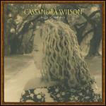 Belly of the Sun - CD Audio di Cassandra Wilson