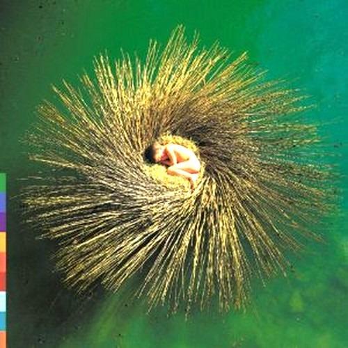 Ovo - CD Audio di Peter Gabriel