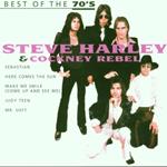 Steve Harley and Cockney Rebel