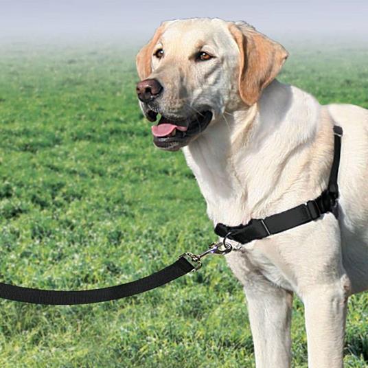 PetSafe Pettorina per Cani Easy Walk Misura L Nera - PetSafe - Idee regalo  | IBS