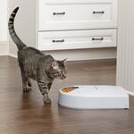 PetSafe Dispensatore di 5 Pasti per Animali Eatwell con Timer Grigio