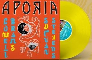 Aporia (Yellow Coloured Vinyl) - Vinile LP di Sufjan Stevens,Lowell Brams - 2