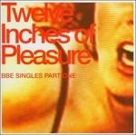 Twelve Inches of Pleasure - CD Audio