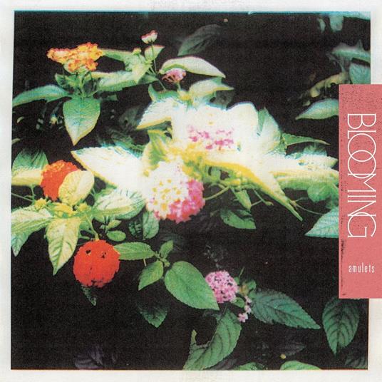 Blooming - Vinile LP di Amulets