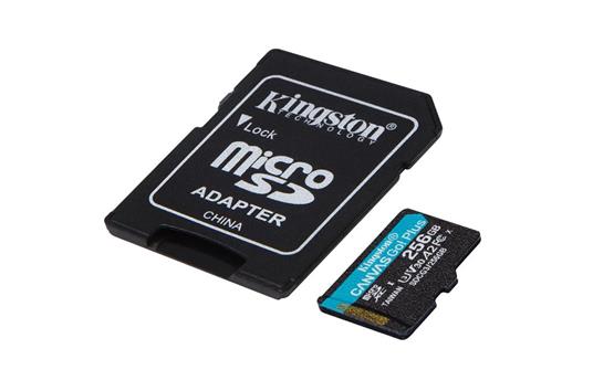 Kingston Technology Canvas Go! Plus memoria flash 256 GB SD Classe 10 UHS-I  - Kingston Technology - Foto e videocamere | IBS