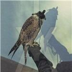 You're Nothing - CD Audio di Iceage
