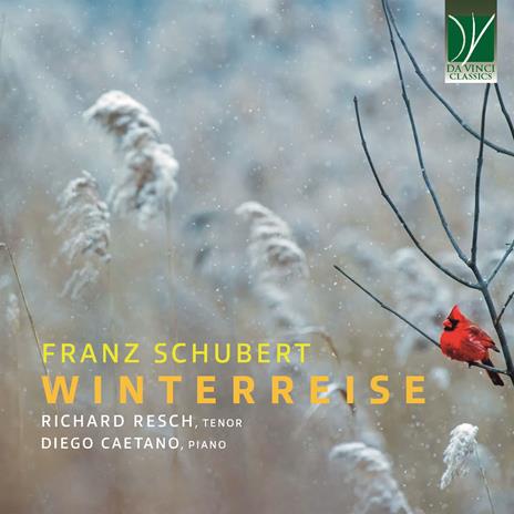 Winterreise D911 - CD Audio di Franz Schubert,Richard Resch