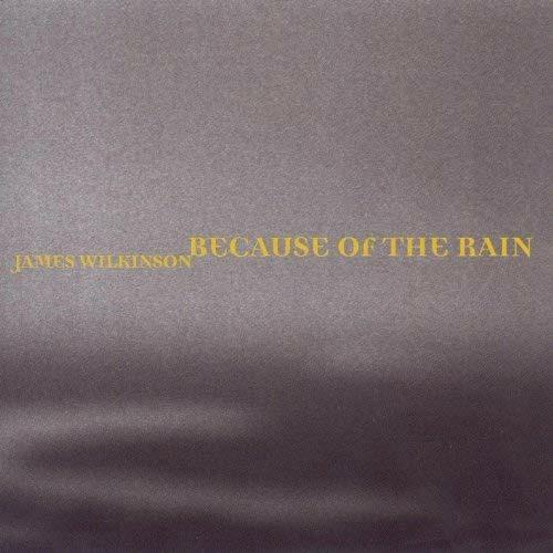 Because of the Rain - CD Audio di James Wilkinson