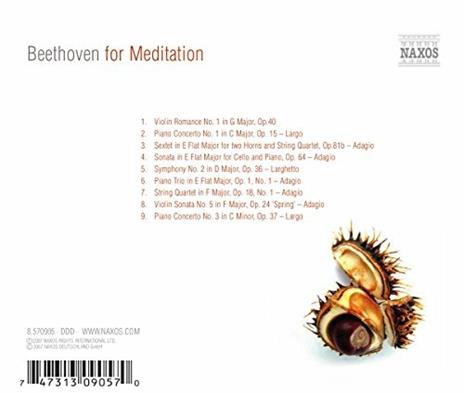 Beethoven for Meditation - CD Audio di Ludwig van Beethoven - 2