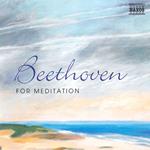 Beethoven For Meditation
