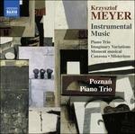 Musica Strumentale - Instrumental Music - CD Audio di Krzysztof Meyer