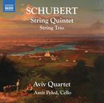 String Quintet, D.956, String Trio, D.58