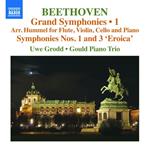 Grand Symphonies vol.1 (Trascrizioni per flauto, violino, violoncello e pianoforte)