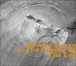 In the Corner of the Eye - CD Audio di Christy Doran