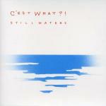 Still Waters - CD Audio di C'est What?!