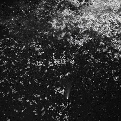 Wilt - CD Audio di Wilt