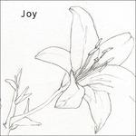 Joy - CD Audio di Joy