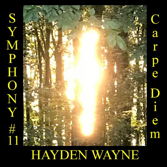 Symphony #11. Carpe Diem - CD Audio di Hayden Wayne