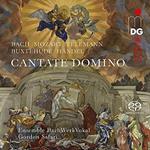 Cantate Domino. Cantatas & Motets