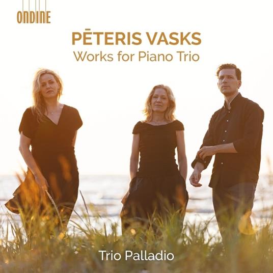 Musica per pianoforte e archi - CD Audio di Peteris Vasks,Trio Palladio