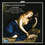 Cantate - Salmi 119 - Mottetti - CD Audio di Johann Friedrich Fasch,Hermann Max,Das Kleine Konzert