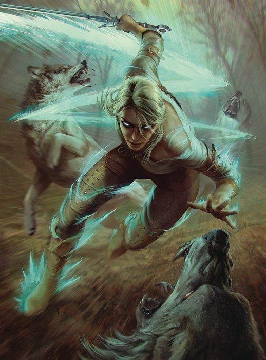 The Witcher 3 Wh Ciri&Wolves Puzzle
