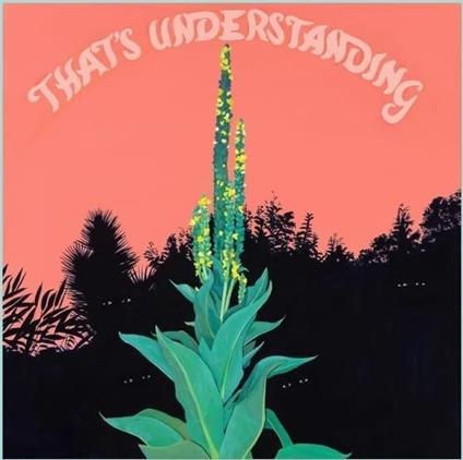 That's Understanding - CD Audio di Village of Spaces