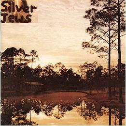 Starlite Walker - CD Audio di Silver Jews