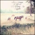 Sometimes I Wish We Were an Eagle - Vinile LP di Bill Callahan