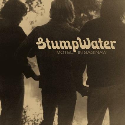 Motel in Saginaw - Vinile LP di Stumpwater